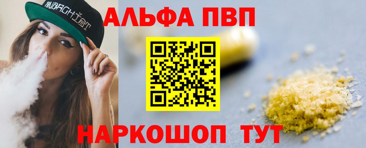 Альфа ПВП СК Владикавказ