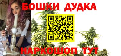 спайс Аша