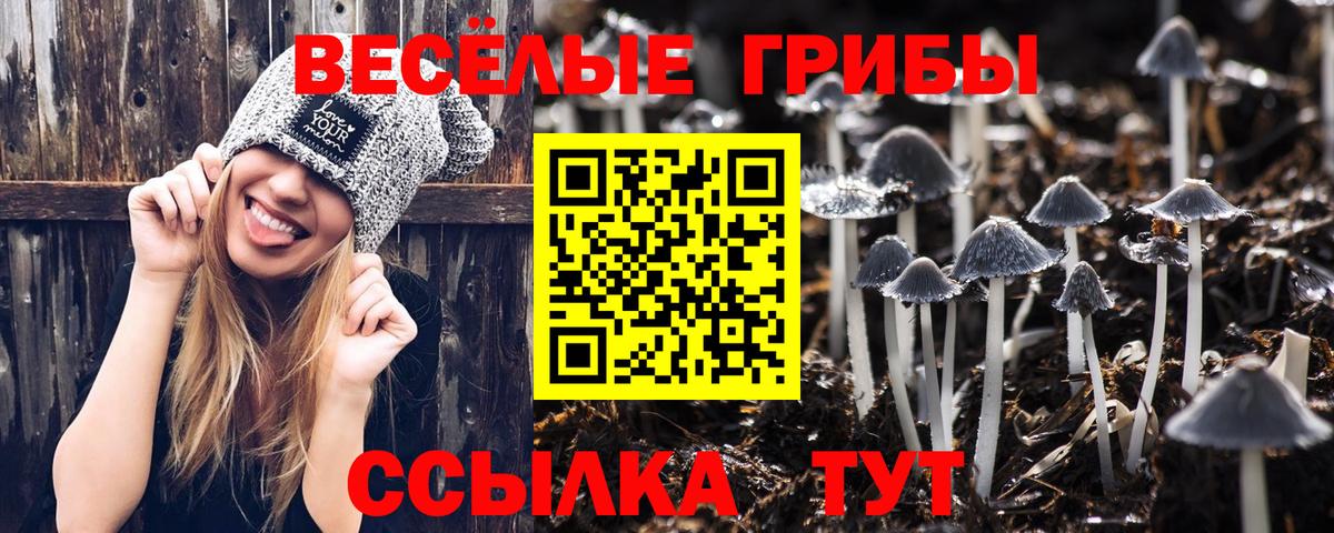 Галлюциногенные грибы Psilocybe  Вход с VPN  Псилоцибиновые грибы мицелий  Владикавказ 