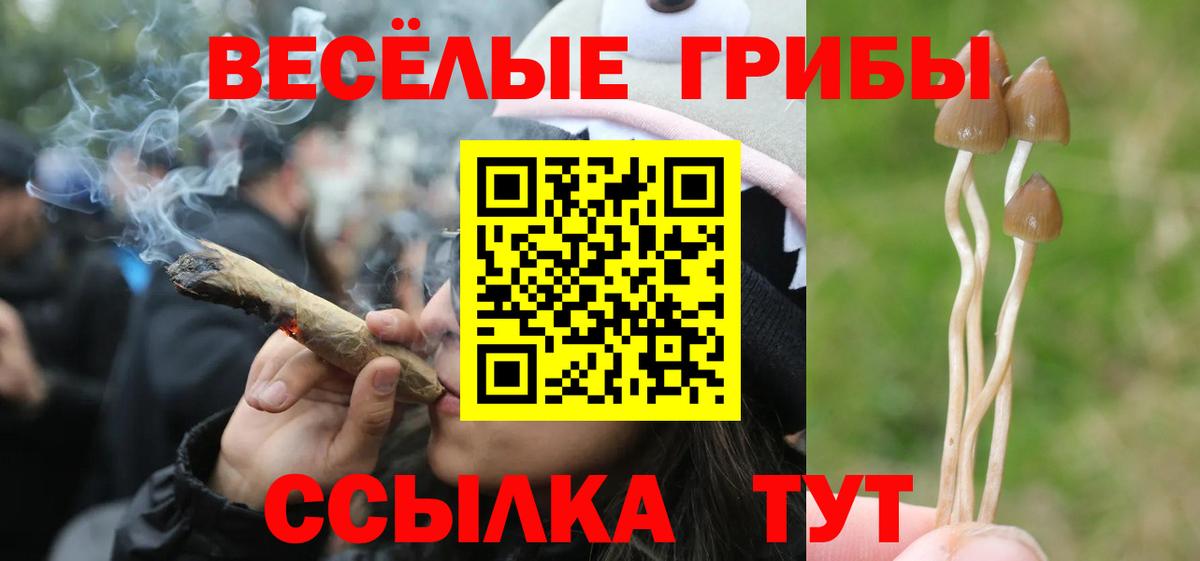 Галлюциногенные грибы прущие грибы Владикавказ